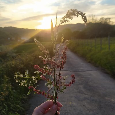 LeireMak's profile picture. 