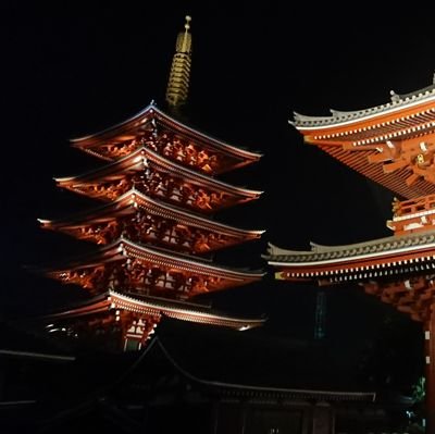 shogo_2421's profile picture. 