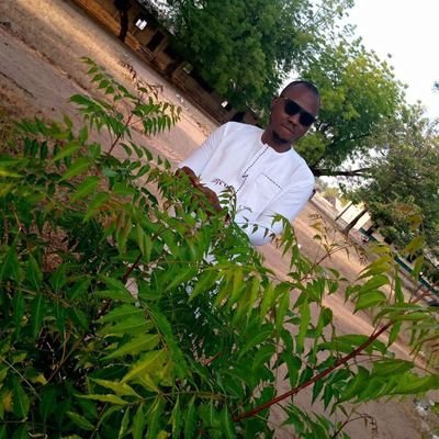 AJ81181216's profile picture. I am Jamel adamu