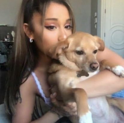 Ariianator20's profile picture. FAN ACCOUNT/Arianator - Male - 24 yo / Saw Ariana twice