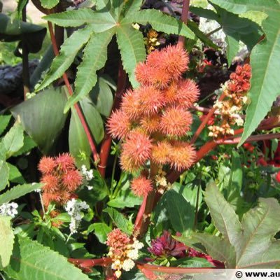 stephdada11's profile picture. I’m who I’m and I respect being myself.