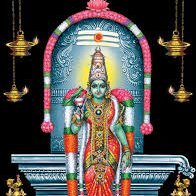 Mudaliar_sangam's profile picture. அகமுடைய முதலியார் இலவச திருமண தகவல் மையம் மற்றும் சமுக நல்லிக்கண குழு || முமுமையான சேவை அதுவே நம்முடைய இலச்சியம்