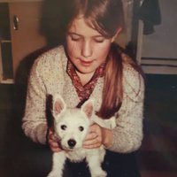 Alison Kettlewell (@alisonkettlewe1) 's Twitter Profile