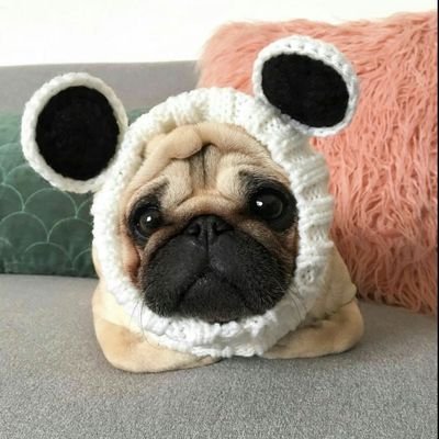 Obssessed13's profile picture. heyaa