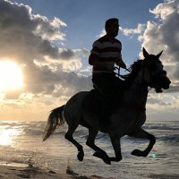 𝑴𝒐𝒉𝒂𝒎𝒆𝒅 𝑺𝒂𝒍𝒂𝒉 (@mo_salah78) 's Twitter Profile Photo 𝑴𝒐𝒉𝒂𝒎𝒆𝒅 𝑺𝒂𝒍𝒂𝒉 (@mo_salah78) 's Twitter Profile Photo