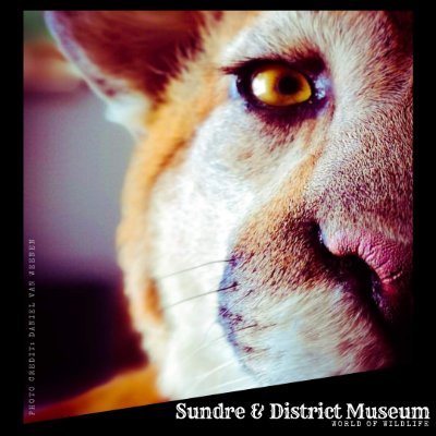sundremuseum's profile picture. We invite you to the beautiful historic downtown Riverside District; in the heart of Sundre, where we celebrate "The Way We Were".