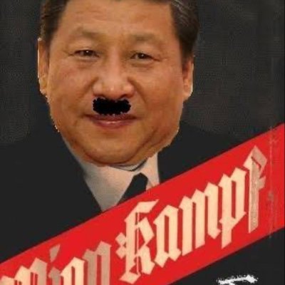HitlerChina