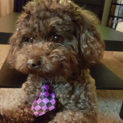 sdb1239's profile picture. 