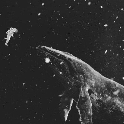 wowworld2's profile picture. No one can feel my pain