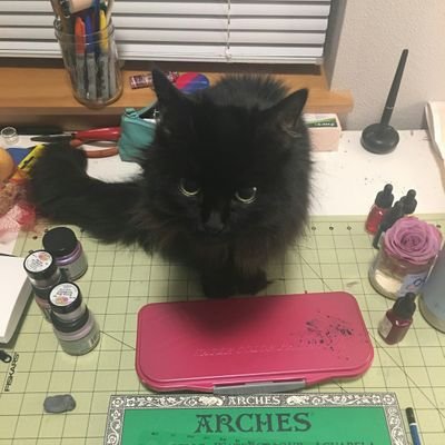 analogfruit's profile picture. still learning twitter. pro justice, compassion, and beauty. anti hierarchical power structures, cruelty, and waste. clumsily learning/growing