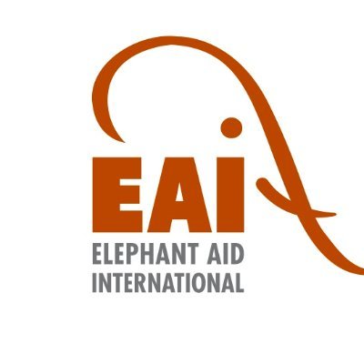 a 501(c)(3) nonprofit organization, provides education and hands-on assistance to end the worldwide suffering of elephants...one elephant at a time.