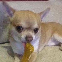 Fernando (@fernand34147079) 's Twitter Profile