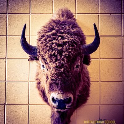 \\\\\\ Where Tradition Meets Innovation ////// The Official Twitter Account of Buffalo High School, Buffalo, WV