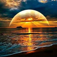 🌻...Merve...Sefa...🌻 (@mervesefa__) 's Twitter Profile