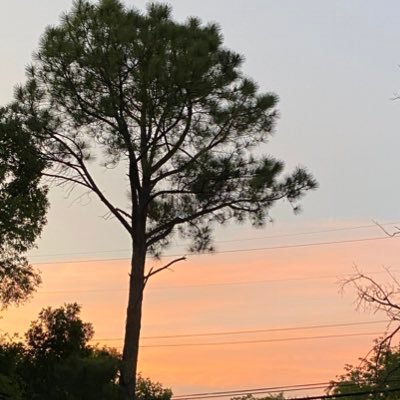 wonderingcon's profile picture. just here to make new friends, plz dm or ask for my snap😌🤝🥺👉🏻👈🏻21, he/him, straight, switch