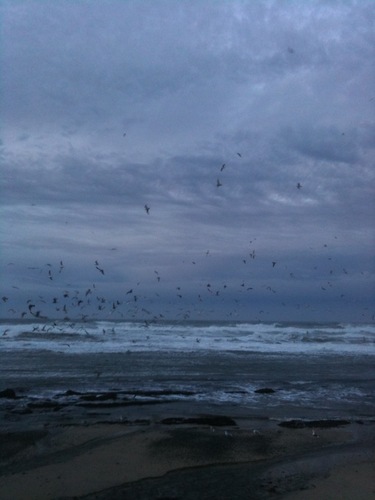 VincentWare's profile picture. Writer, columnist, and comedian. His humorous pieces have appeared in newspapers and magazines.