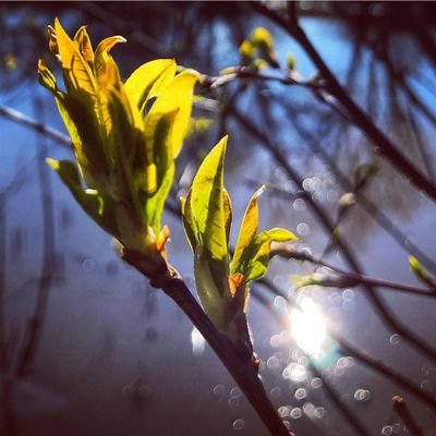 Ek_Gumnaam's profile picture. एक जुनून इश्क़ का, एक जुनून इश्क़ में घुल जाने का। एक आदत खुद में खोये रहने की, एक चाहत तुझमें ही खो जाने की।