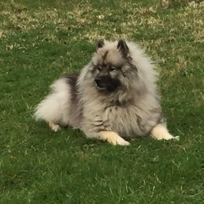 Spaceorla Profile