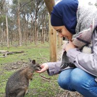 Imane Boukhatem (@imaneboukhatem) Twitter profile photo