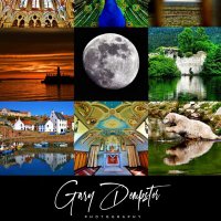 Gary Dempster Amateur Photographer(@dempsterphotos) 's Twitter Profile Photo