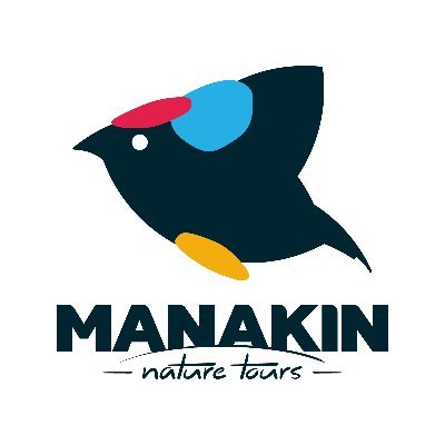 MANAKIN NATURE TOURS is a specialized birding and wildlife tours company with base in Colombia that operate professional tour from 2009.