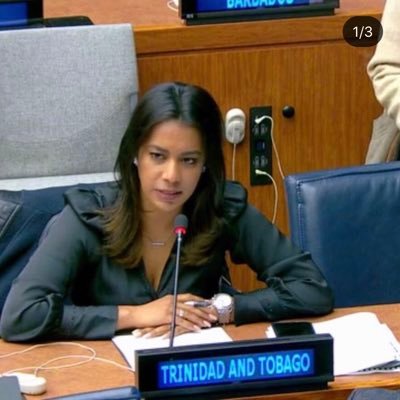 Permanent Mission of Trinidad and Tobago to the United Nations, New York (Part 2) |Disarmament | Women Peace and Security | My views