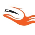 BroPulsion's profile picture. Communauté Multigaming, Esport fondée en 2020.