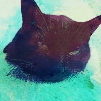 ghosty gums 🌈💫👻 💙(@Emma_black_cat) 's Twitter Profile Photo