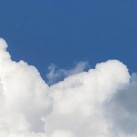 Sandrine DARGAUD (@sdargaud) 's Twitter Profile Photo