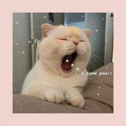 farradiibaa's profile picture. kenapa eh sombong 😞