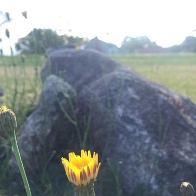 RodrigoPhpx's profile picture. admirador da vida