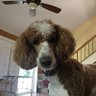 marciegradwohl's profile picture. Heggy commie grandma who loves to eat good food