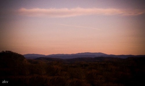 bryanford's profile picture. 