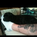 Chris Colegrove - @ChrisColegrove1 - Twitter