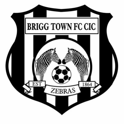 BriggTownRes's profile picture. 