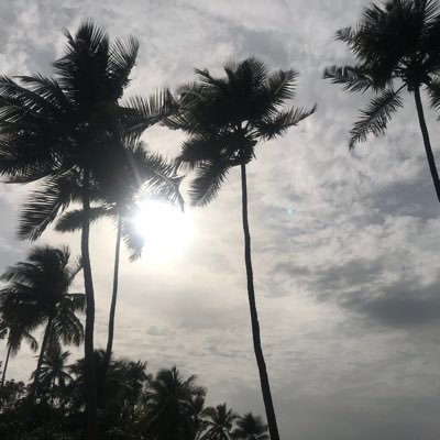 sybslili's profile image