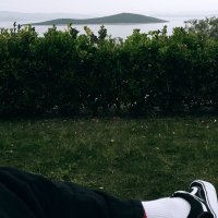 Duffbear (@duffbear3) 's Twitter Profile