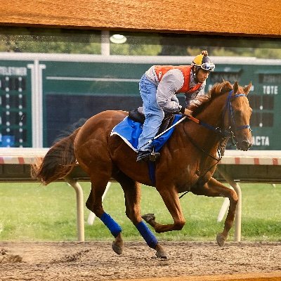 Thoroughbred Horseman. Breeder. Tournament Player
2020 BCBC -10th pl  2021,  2022-Q , 2023-2X Q
2019 -2024 NHC -2X Q
Owner Summer Fall Racing Group