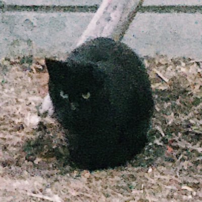 snさんのプロフィール画像