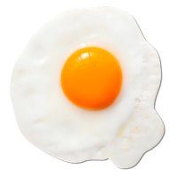 dumb collective. (@dumb_collective) 's Twitter Profile