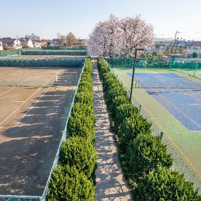 善福寺公園テニスクラブは、テニス、サッカー、パデル、ヨガなど色々なスポーツを楽しめる施設です！