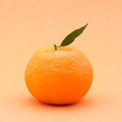 ととさんのプロフィール画像