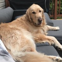 Lara Groetzinger (@lzinger87) 's Twitter Profile