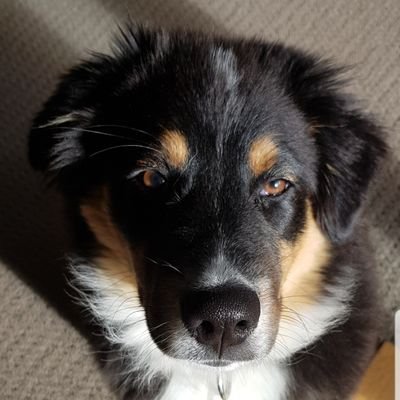 KarenStarling_'s profile picture. Pharmacist. Aged care & Disability