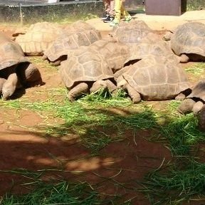 kanako31636470's profile picture. 北海道大学🥍　総理→農学部生物資源科学科