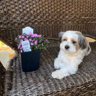 bballmom_68's profile picture. a.k.a Nikki & Kyle's Mom