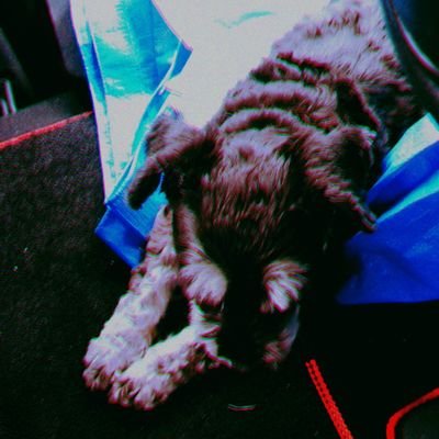 tokai55509566's profile picture. 