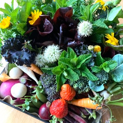 syara1's profile picture. 