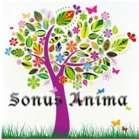 SonusAnima(@anima3776) 's Twitter Profile Photo