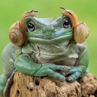 tchellonito99's profile picture. 